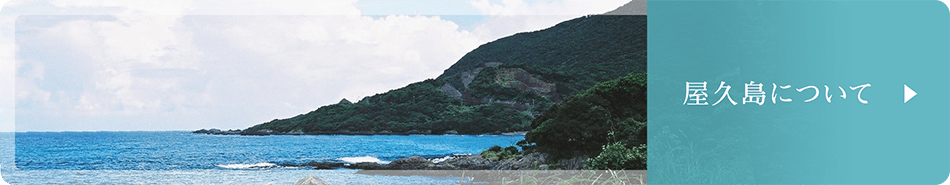 屋久島について